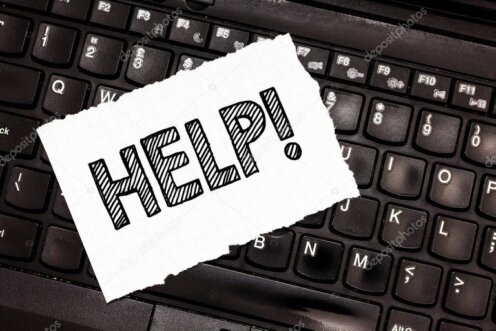 Techniker hilft Kundin bei einem PC-Notfall vor Ort